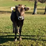 Apartmán Eistobel Und Felderhalde Isny im Allgäu