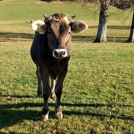 Lejlighed Eistobel Und Felderhalde Isny im Allgäu