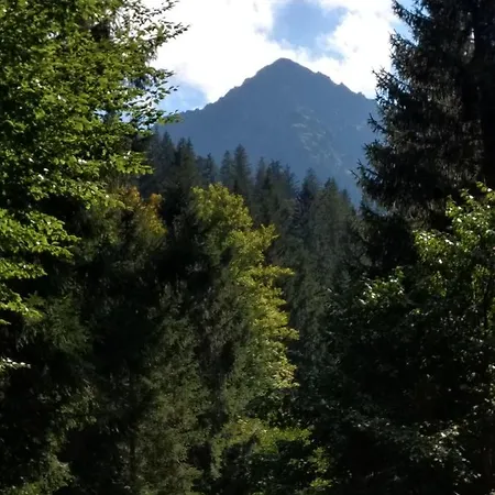 アパート Eistobel Und Felderhalde イスニー・イム・アルゴイ