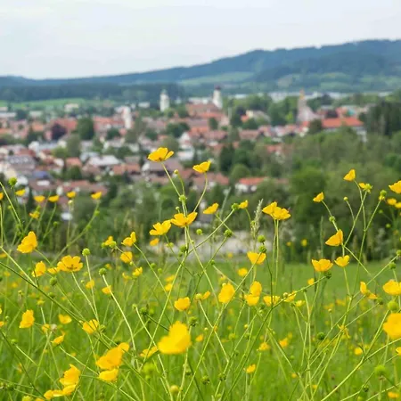 アパート Eistobel Und Felderhalde *