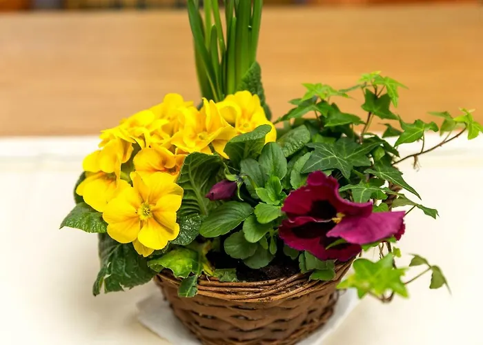 Eistobel Und Felderhalde