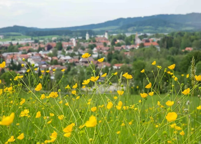 Апартаменты Eistobel Und Felderhalde *